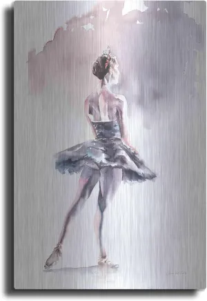 'Ballet I' by Alan Majchrowicz, Metal Wall Art, 24"x36"