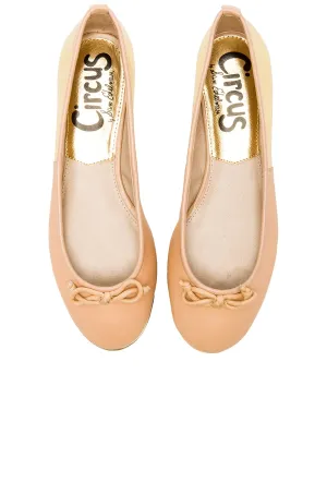 Classic Latte Flash Edelman On Banks Slip Sam Supportive Circus Flats by Bow Ballet Gold Top choice