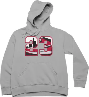 Men's Graphic 23 Hoodie To Match Jordan 1 Style Shoe, Urban Clothing Streetwear
