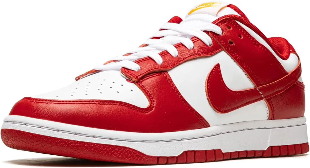 Nike Men's Dunk Low Retro Shoes Sneaker