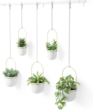 Umbra Triflora Hanging Planter, Set of 5, White/Brass
