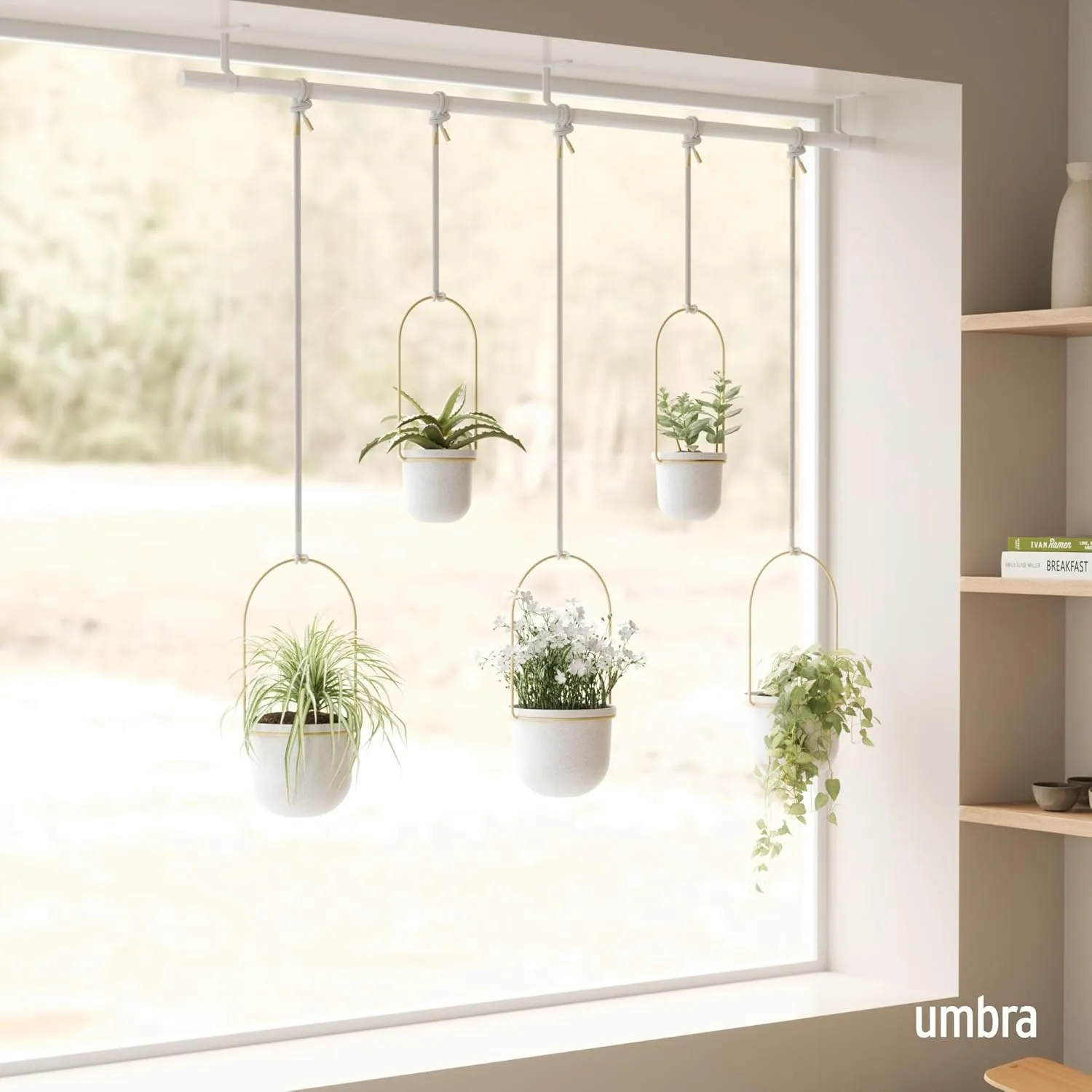 Umbra Triflora Hanging Planter, Set of 5, White/Brass