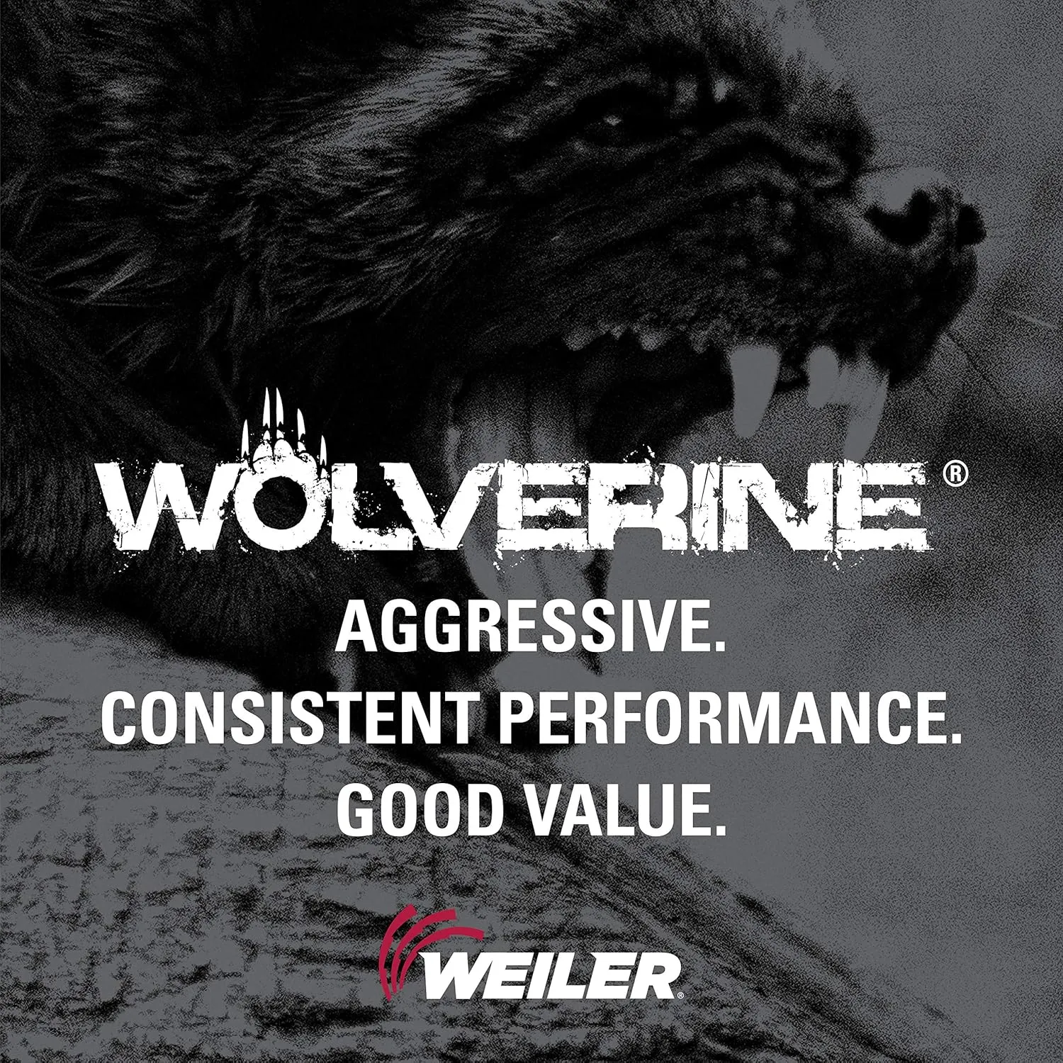 Weiler 56068 3-Inch Cutting Wheel, Wolverine AO Steel/Metal Fast Cut, Value Cutting, 1/16" A36T Type 1 3/8" Arbor (Pack of 100)